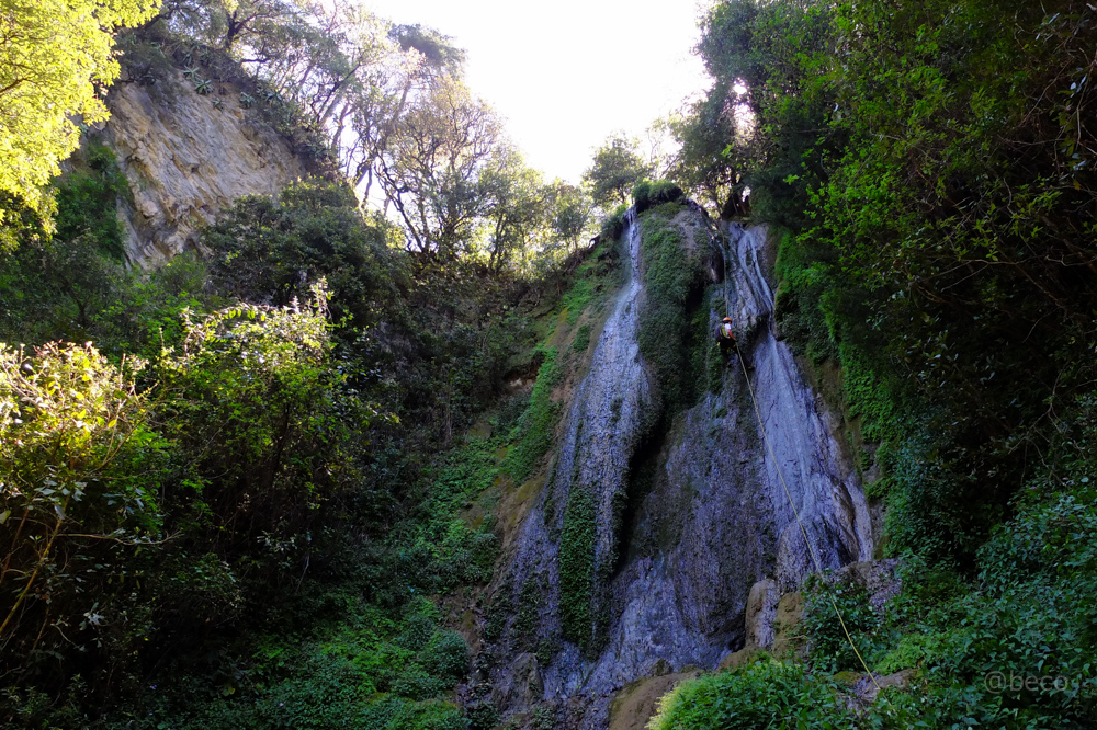 DSCF4075